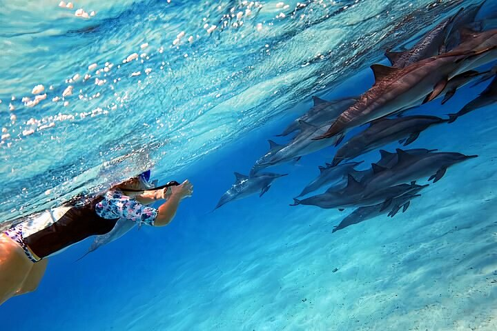 Hurghada French Voyages Hurghada French Voyages
